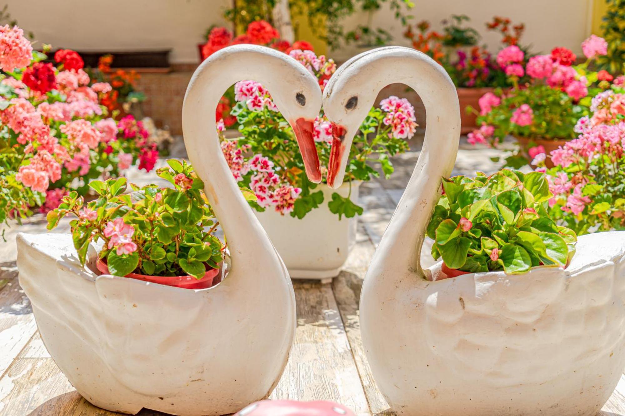 Boutique Guest House 'Sofia' ネセバル エクステリア 写真