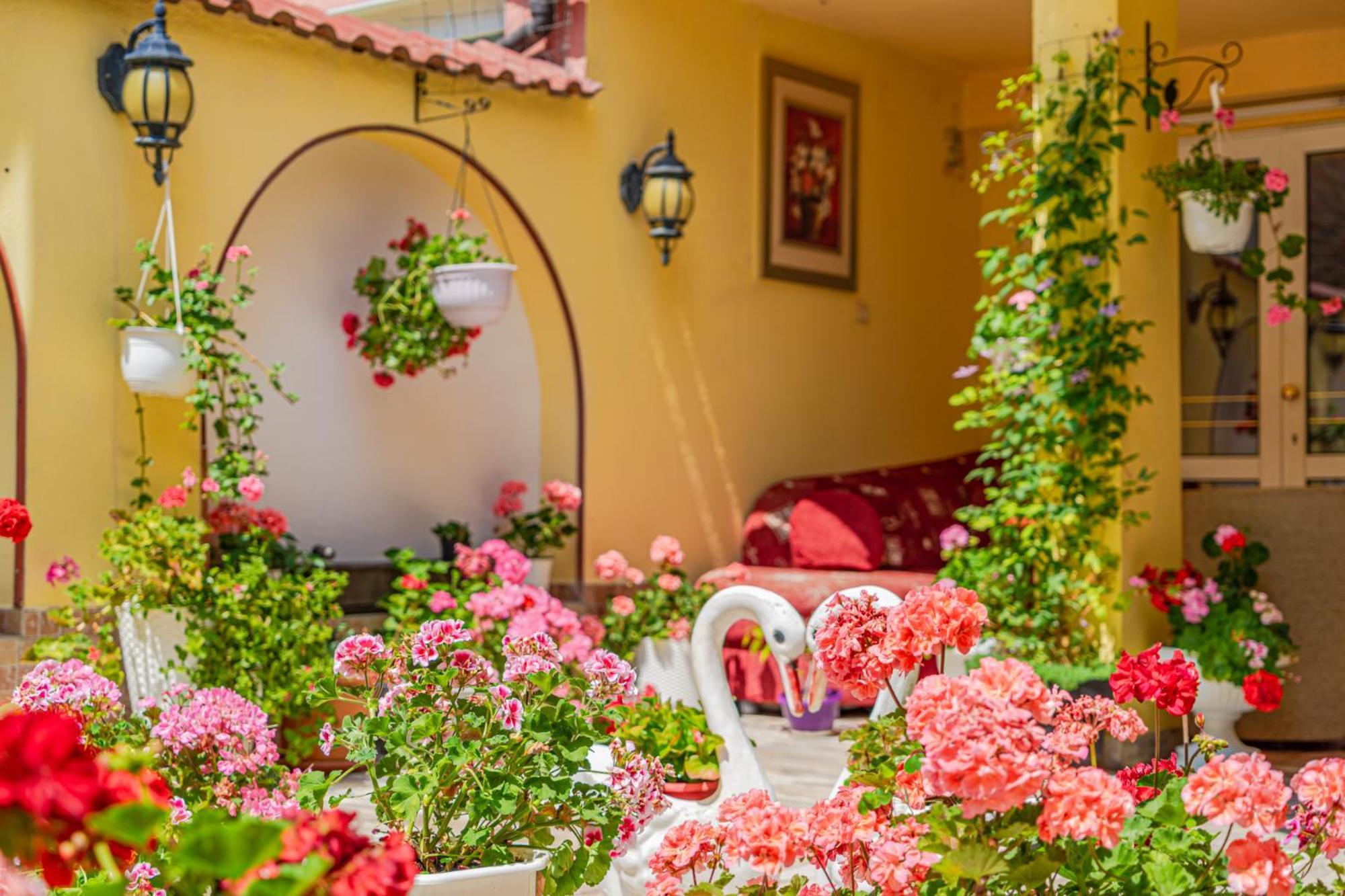 Boutique Guest House 'Sofia' ネセバル エクステリア 写真